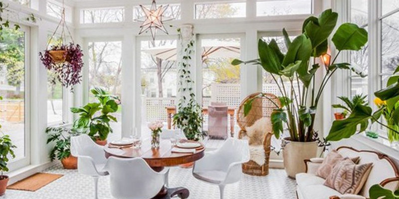 Cách bố trí cây cảnh trong phòng khách Cách bố trí cây cảnh trong phòng khách